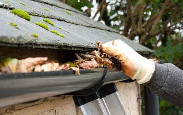 gutter cleaning Cary Fitzpaine, Somerset
