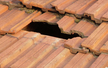 roof repair Cary Fitzpaine, Somerset