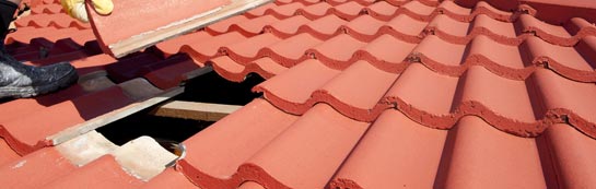 compare Cary Fitzpaine roof repair quotes
