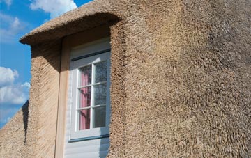 Cary Fitzpaine thatch roof disadvantages